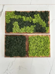 Little Jungle Moss Wall Decor