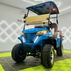Golf Course Car Hot Quality Customizable Custom Golf Carts Electric Hot-selling New/Retro Style Electric Golf Buggy Cart