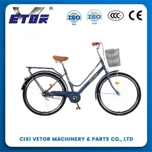 High-Quality Escape-2 22-inch aluminum alloy mountain bike