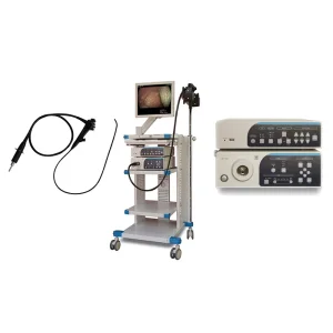 Low Price Endoscopy Flexible Video Gastrointestinal Endoscope Camera System with Light Source