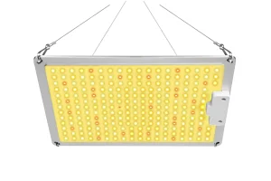 Quantum Board-Q 120W High PPFD