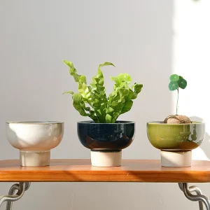 Tall Ceramic Planter
