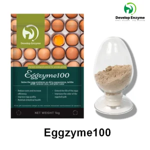 Enzyme Solution for Laying Hens