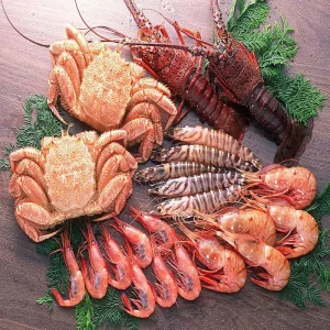 Vitamin Feed Premix for Aquaculture