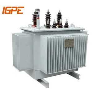 Oil Immersed Power Transformer