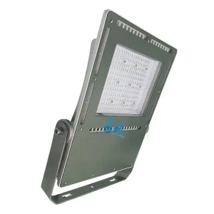 Marine Grade LED Floodlight Stainless Steel IP68 Ik10 for Vessel Deck Port Offshore Platform Coastal Project and Marine Aquaculture Lighting with AC DC Input