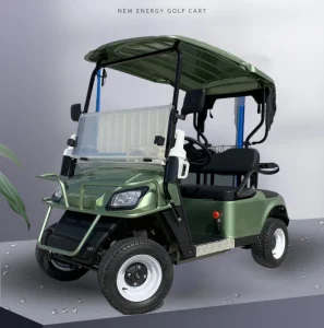 Mini Gasoline Golf Carts