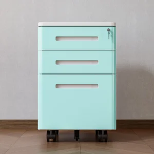 Steel Book Display Cupboard rolling rack