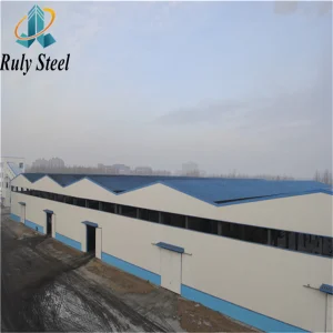 New Zealand Prefabricated Steel Structure Milk Powder Processing Plant
