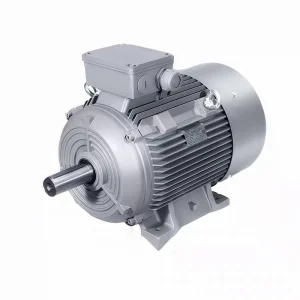 Induction Motor 250w