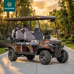 Electric Golf Cart Buggy 8 Seater