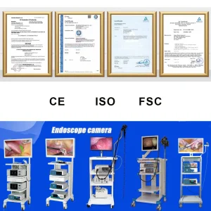 Best Sale Light Cold Source HD Endoscopic Camera Laparoscope Ent HD Rigid Endoscope System