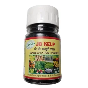 JB KELP Food Grade Seaweed Extract Powder Fresh Ascophyllum Nodosum Marine Plants with Active Ingredient Fucoxanthin