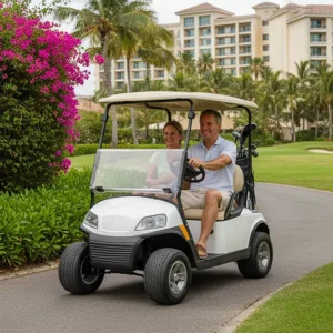 2 Seater Luxury Cart