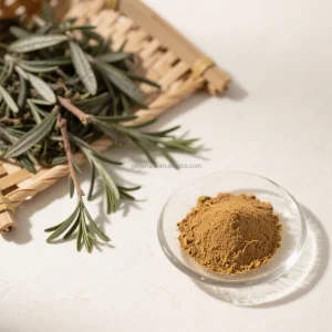 Antioxidant Rosemary Extract Carnosic Acid Powder 60% for Skincare &amp; Hair Care