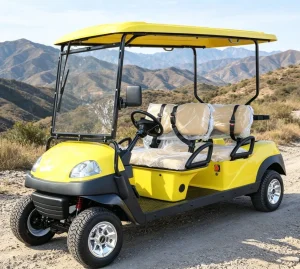 Utility Vehicle