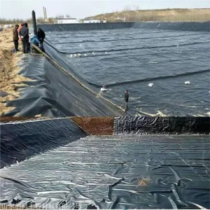 Famous Fish pond anti-seepage membrane Suppliers, Quotes