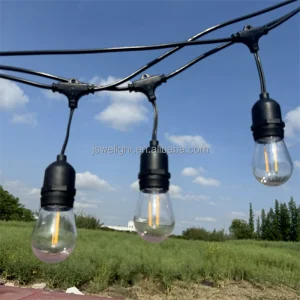 Hanging Festoon Lights