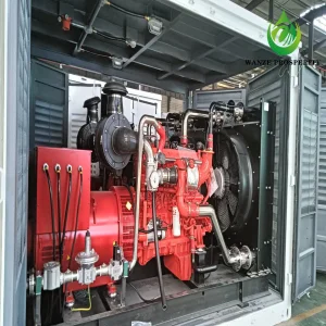 350kw مجموعة مولدات الديزل والبيوجاز