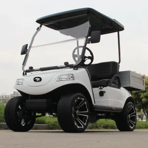 Hdk Evolution UTV 2 Seater Cargo Box Golf Cart Truck