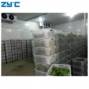 High Quality Refrigerated Room