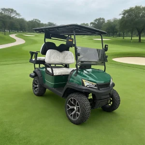 WOLAN Direct Supply Golf Cart