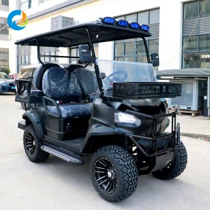 Robetaa Electric Golf Cart 6 Seater