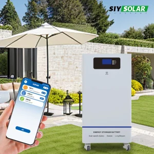 Smart Peak Shaving 10kWh 20kWh Vertical ESS 48V 51.2V LFP Accumulator Grid Interactive Residential Backup Manufacturer Supply