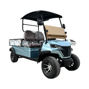 WELIFTRICH 5-6 Seater 72V Fully Waterproof Battery Operated Utility Cart Dump Cargo Bed Electric Golf Cart