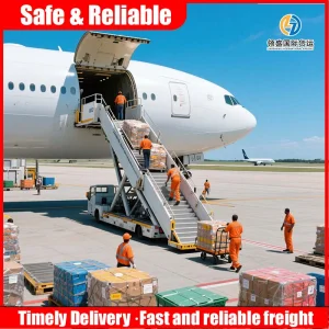 FedEx/DHL/UPS Logistics and Express Delivery Services From China to The Maldives