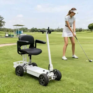 Foldable Mini Cart