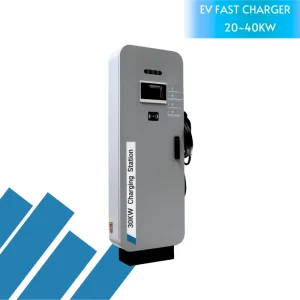 BYD Certified Charger