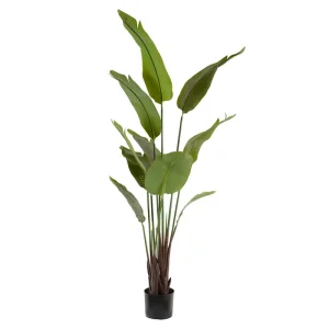 Artificial Banana Plant