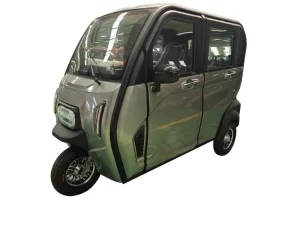 China Top  Electric Tricycle Fully Enclosed Trike Passenger Tricycle for Family Use（DK12) Manufacturer, Manufacturers