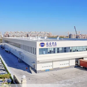 Professional Lightweight Prefabricated Steel Structure Building Design