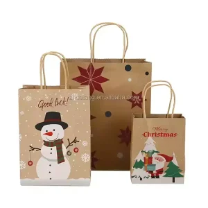 China Recyclable Kraft Paper Bags