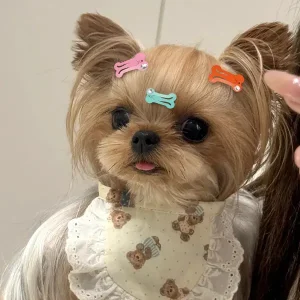 Wholesale Customizable Pet Hair Clips