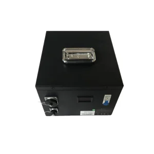 Wholesale OEM ODM 36V 30Ah Lifepo4