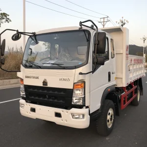 Light Dump Truck Glass