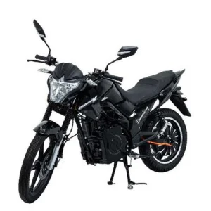 China High-Quality Two-wheeled Electric Bike Model: Display