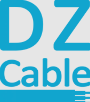 Dingzun Electric