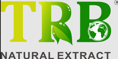 Tong Rui