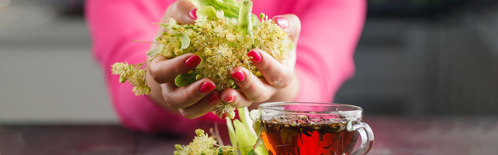 Our Factory Excellence