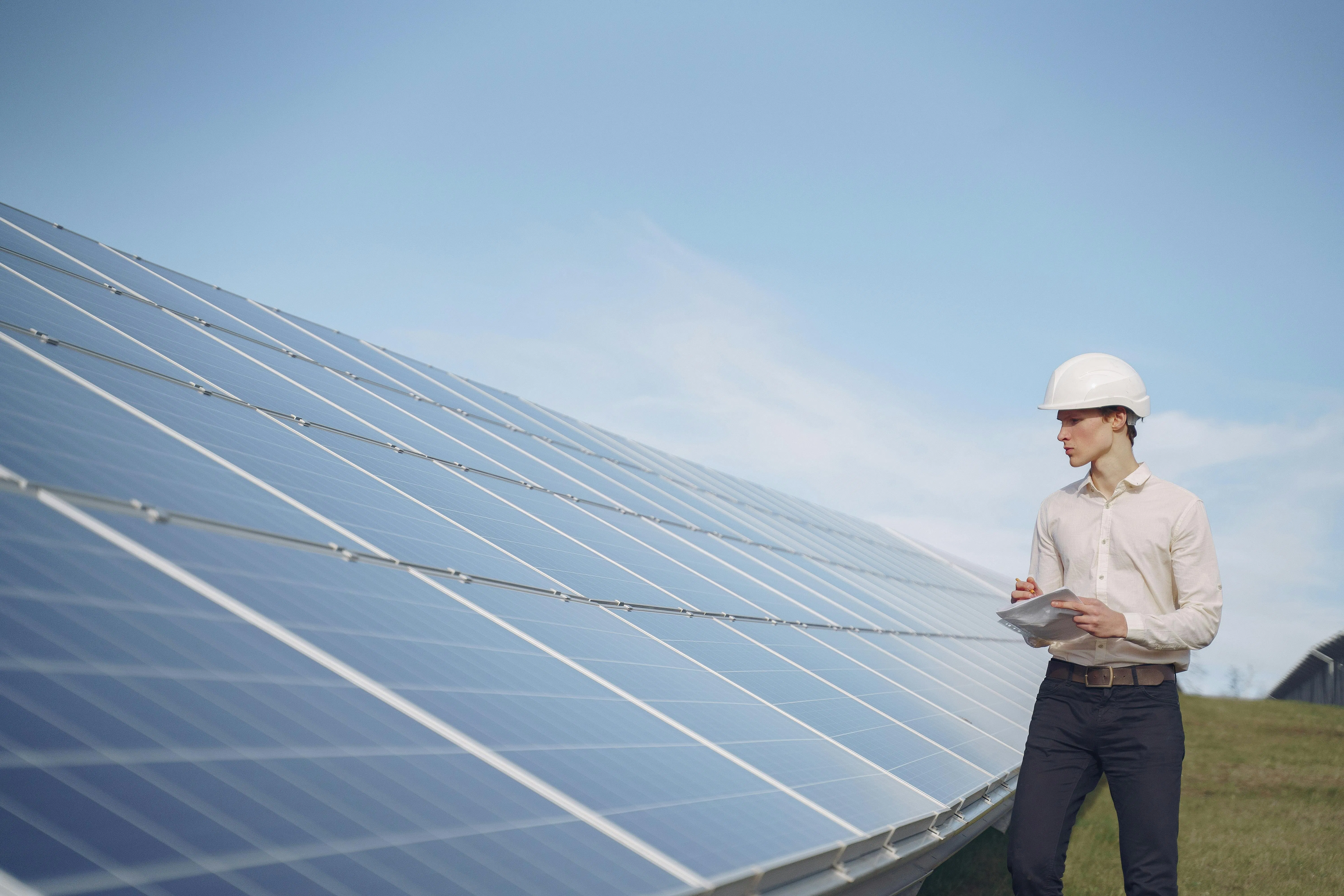 Reliable on-Grid Solar Power Solutions for Poultry and Layer Farms