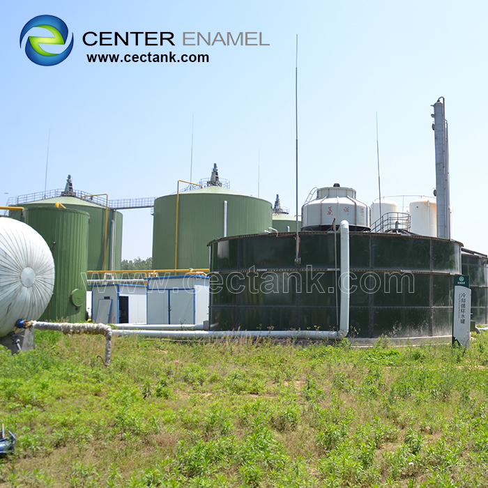 Micro Biogas Project: Clean Energy for Every Household