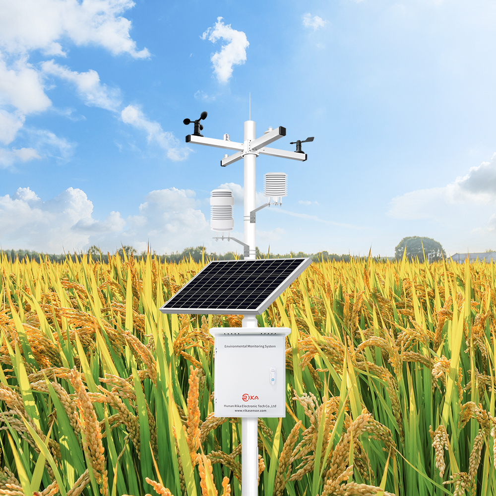 RK900-01 Meteorology Solar Panel Power Supply Remote Upgrade RS485 GSM 3G 4G WIFI Ethernet Weather Station With Outdoor Sensor