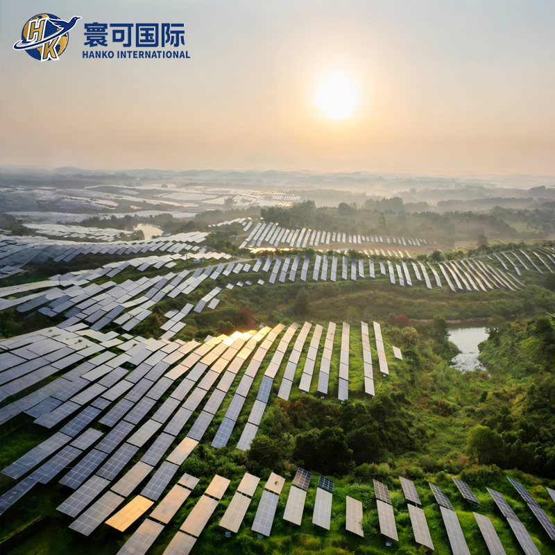 Eco Friendly Elevated Solar Structure Designed for Woodland Energy Projects Forestry PV Complementary Mounting System