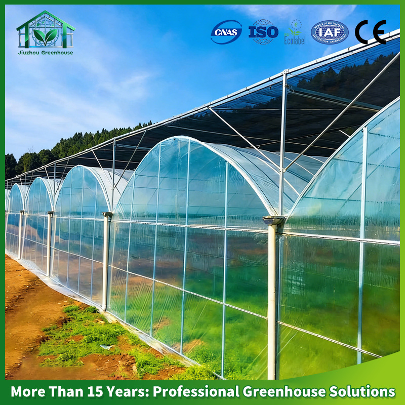 Complete Turnkey Project: Hydroponic Film Greenhouse for Bell Pepper Production