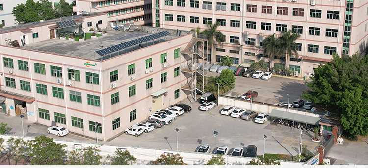 Company overview