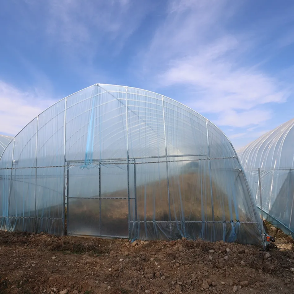 Greenhouse detail